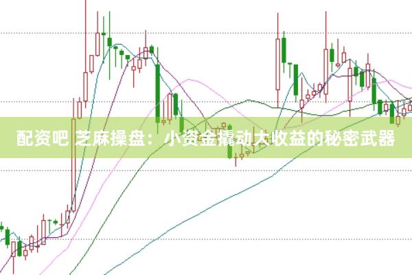 配资吧 芝麻操盘：小资金撬动大收益的秘密武器