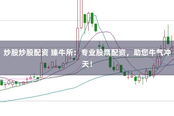 炒股炒股配资 臻牛所：专业股票配资，助您牛气冲天！