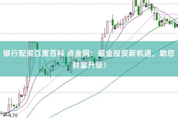 银行配资百度百科 点金网：掘金投资新机遇，助您财富升级！