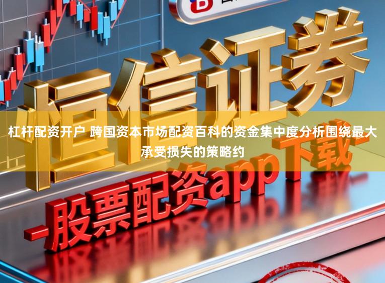 杠杆配资开户 跨国资本市场配资百科的资金集中度分析围绕最大承受损失的策略约