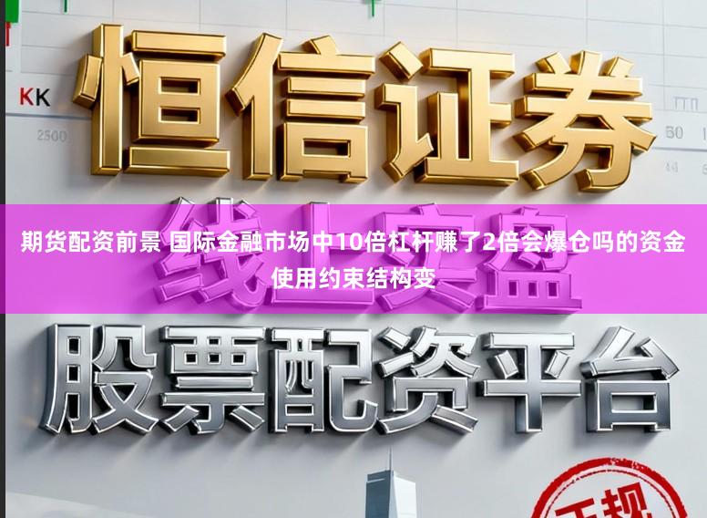 期货配资前景 国际金融市场中10倍杠杆赚了2倍会爆仓吗的资金使用约束结构变