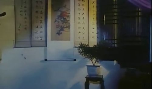 狐缘 经典老片,很多人都没看过,西安 安徽影片厂1986年出品